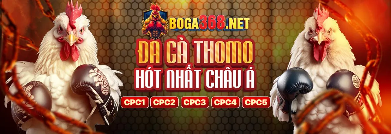 Giao diện ứng dụng dg789 trên điện thoại di động