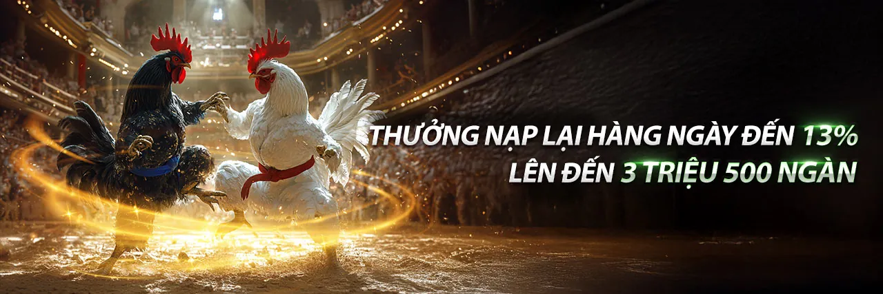 Hình ảnh banner blog dg789 app 2026