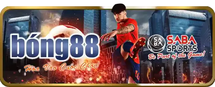 Hình ảnh minh họa tầm nhìn của dg789 app